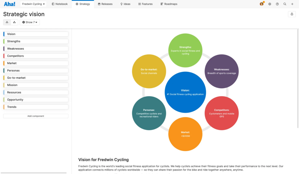 aha strategic vision