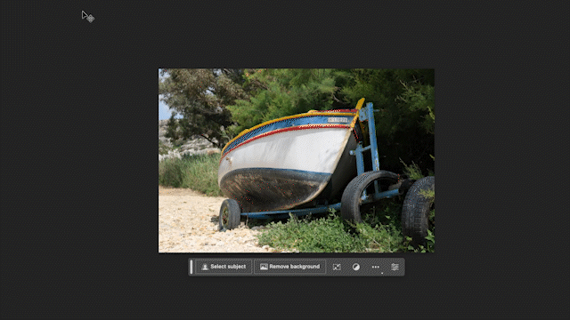 adobe editor screenshot